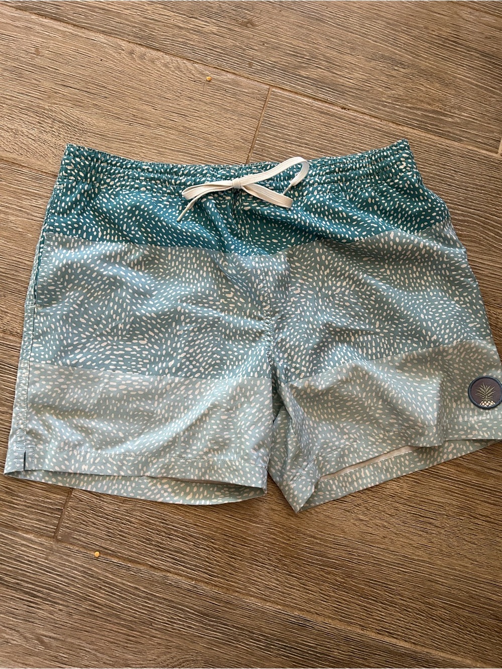 chubbies Teal and Light Blue Patterned Men's Swim Trunks